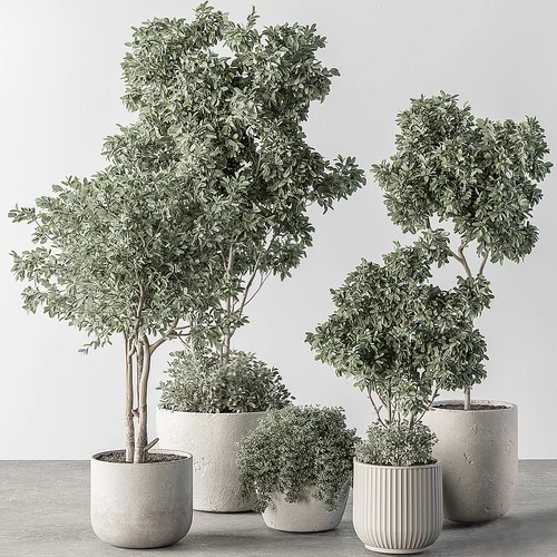 现代绿植盆栽