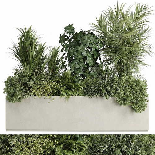 箱式植物展台