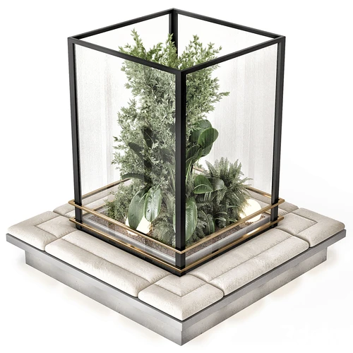 室内植物