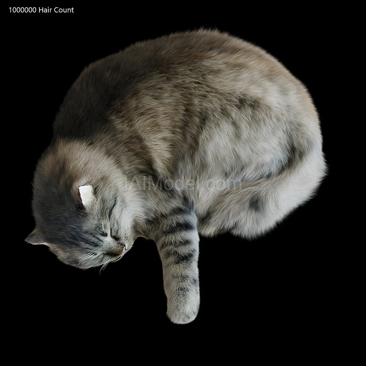 img2
