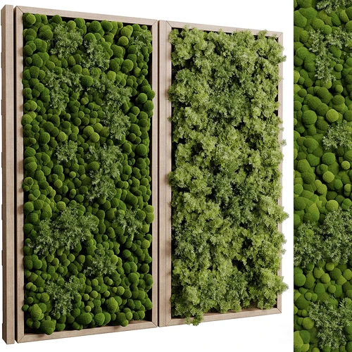现代苔藓蕨类植物墙