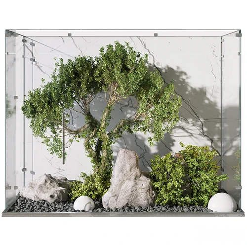 室内植物造景