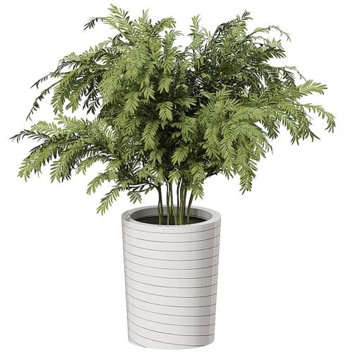 GRAND  现代植物盆栽