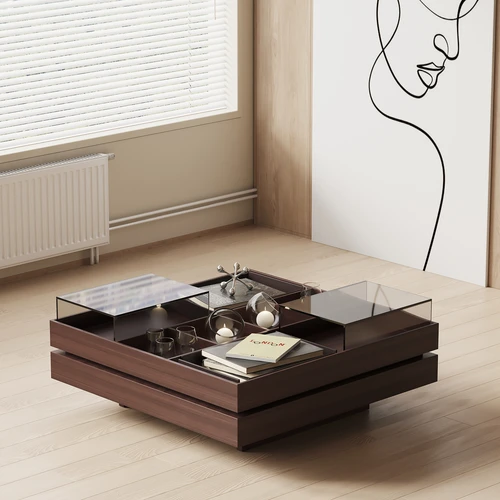 Roche Bobois 现代茶几
