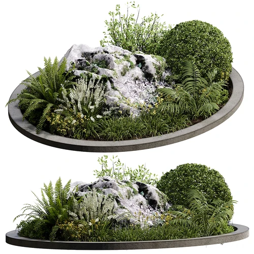 户外植物