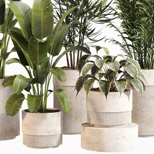 室内植物套装