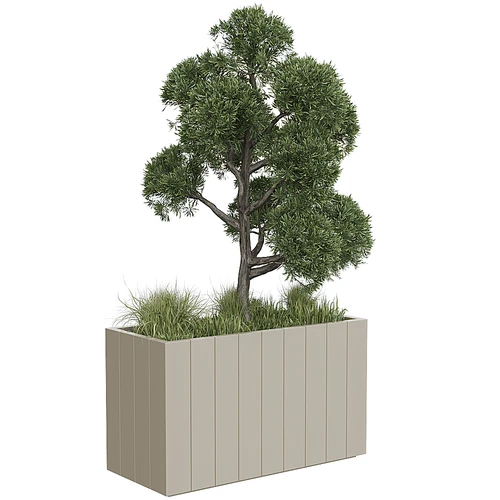 现代植物盆栽