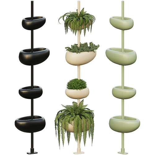 Serralunga 盆栽绿植植物