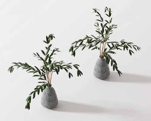 现代绿植盆栽
