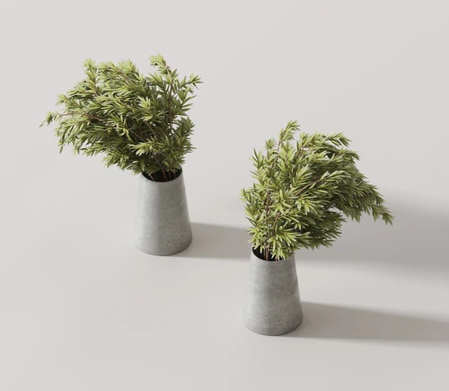 现代绿植盆栽
