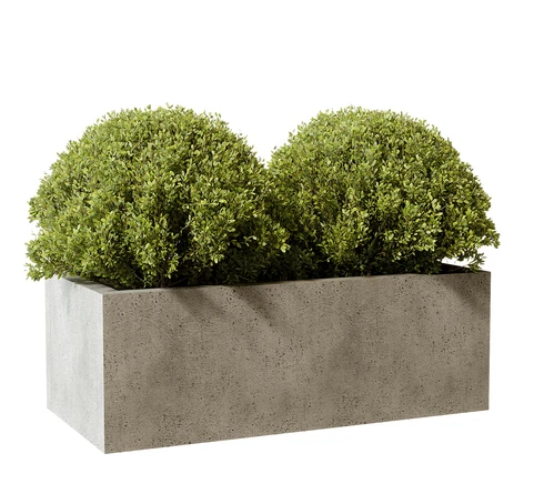现代绿植盆栽