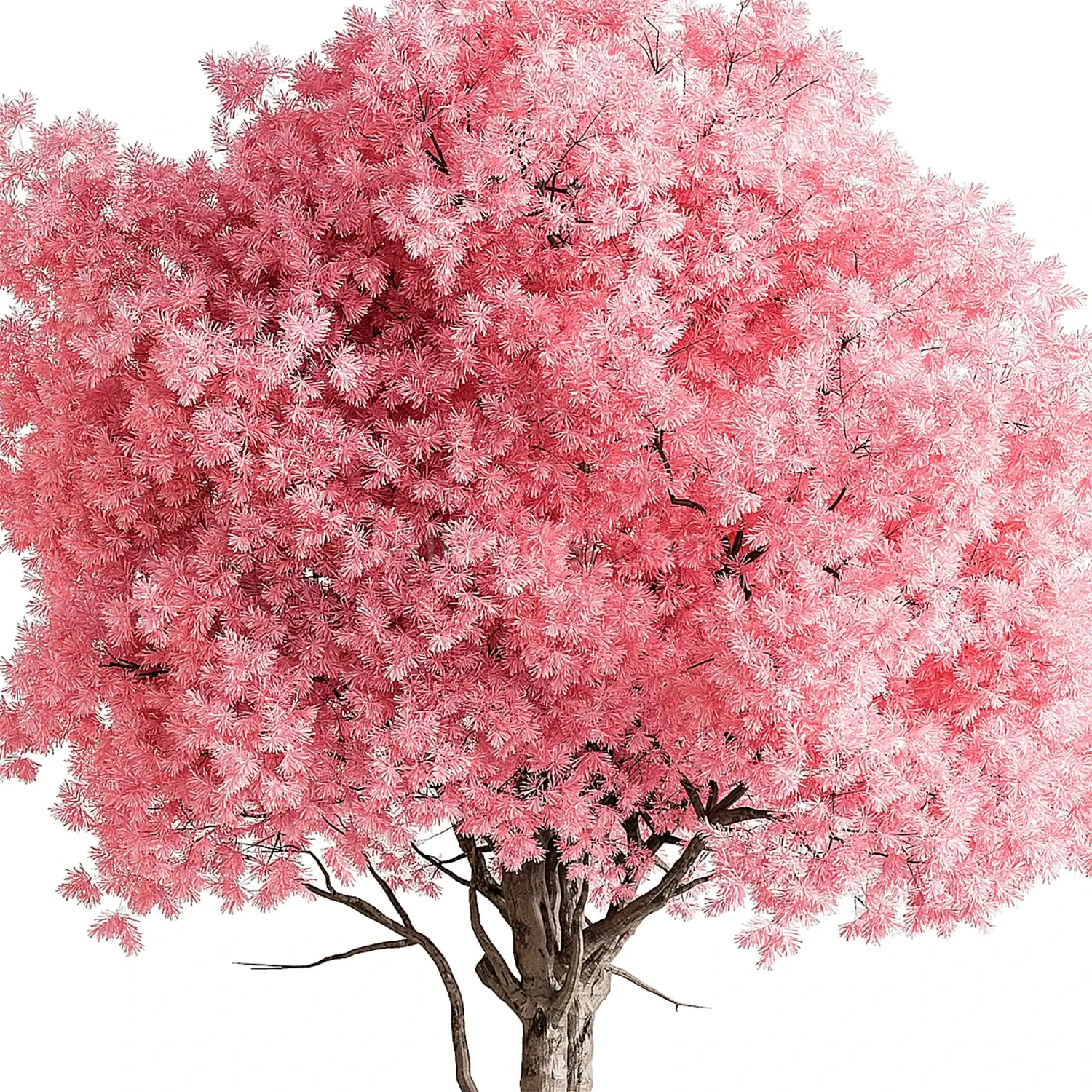 img2