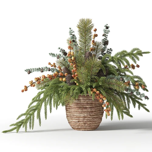 现代绿植盆栽
