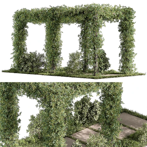 凉棚和植物