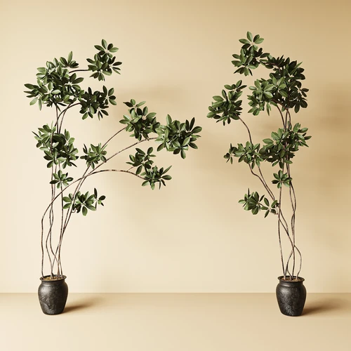 现代绿植盆栽
