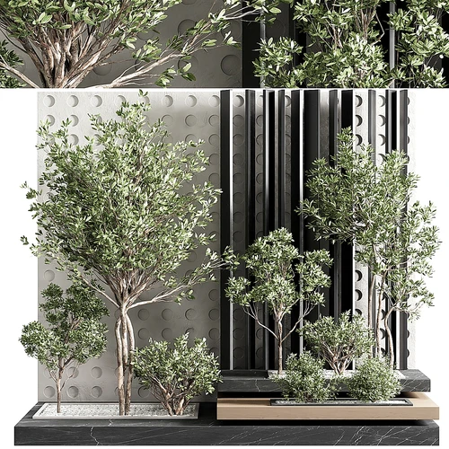 植物造景