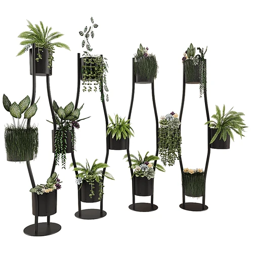 Brunner 植物盆栽