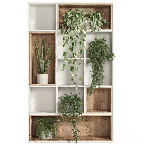 室内植物展台
