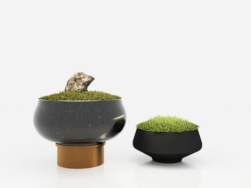 植物绿植