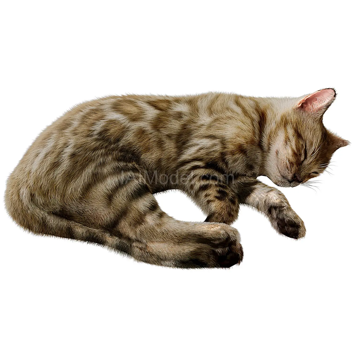 img2