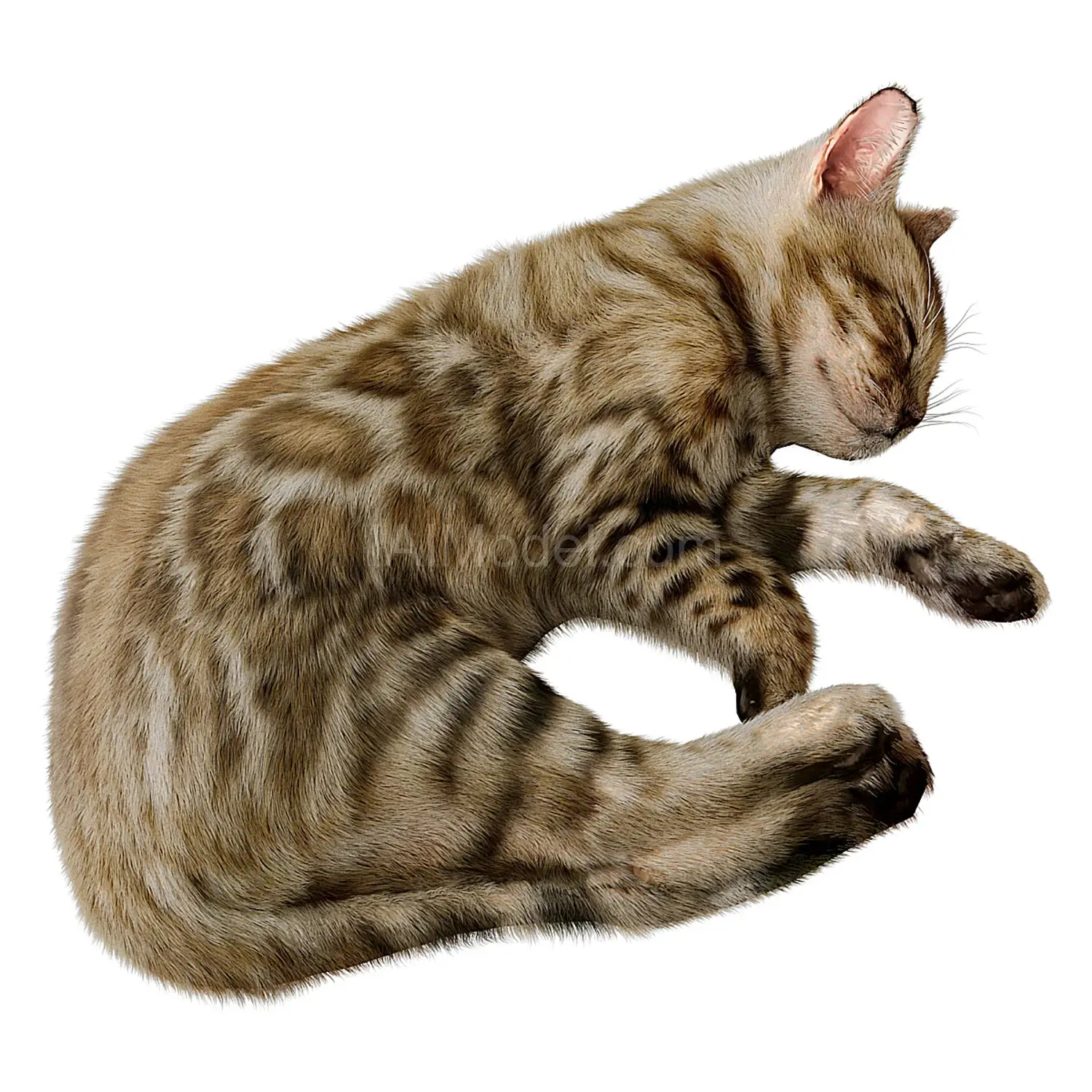 img3