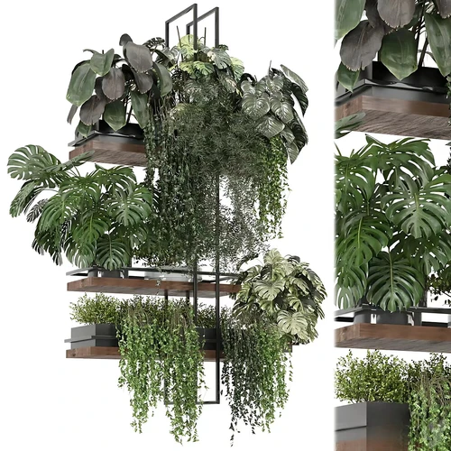 金属盒室内植物