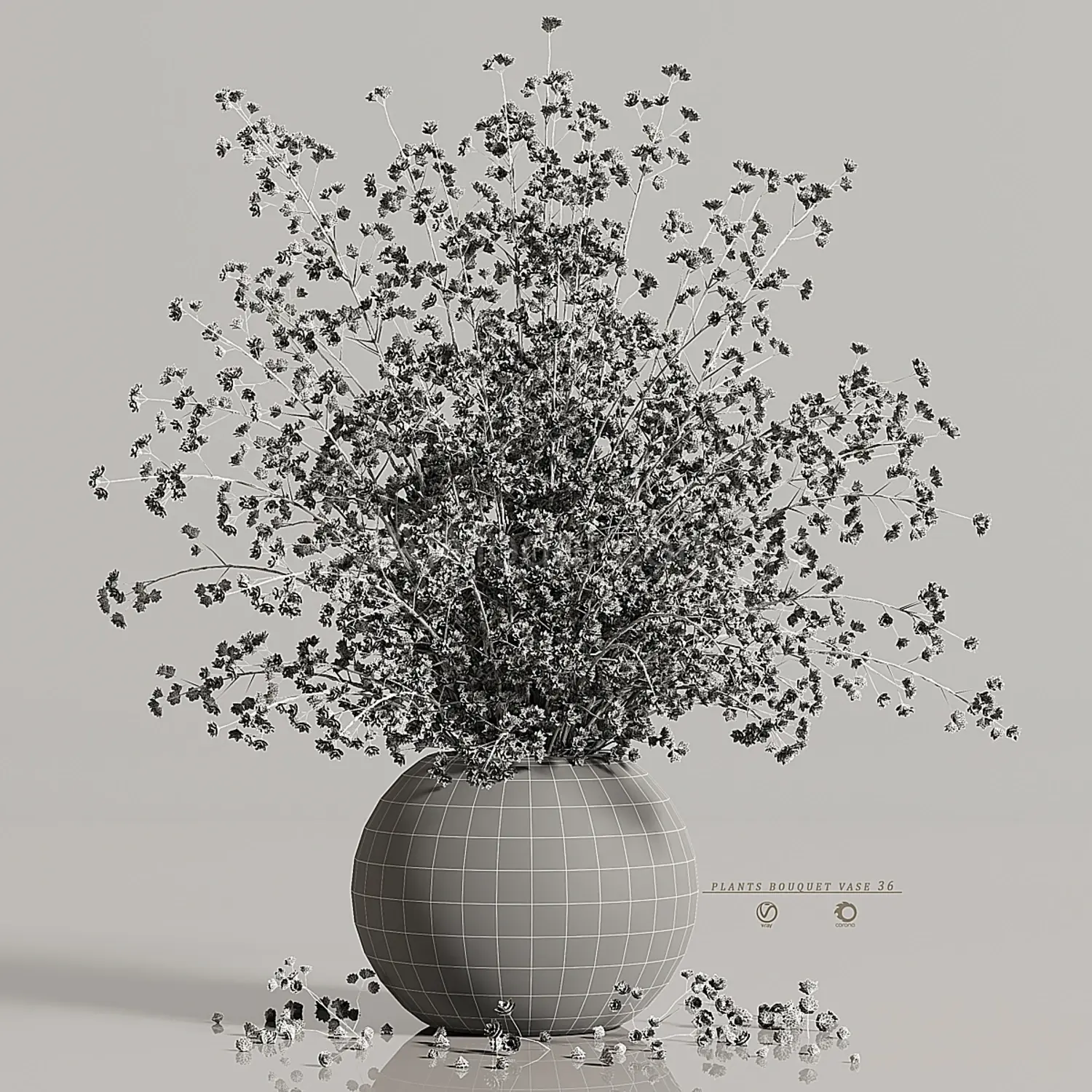 img7