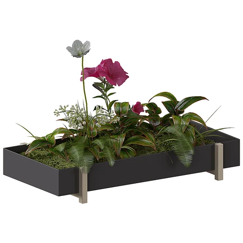 现代植物盆栽