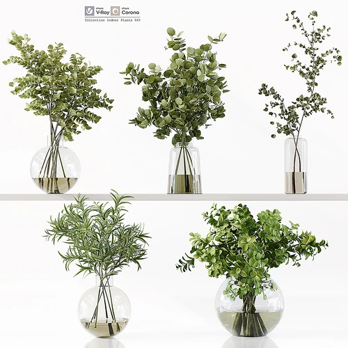 水生植物