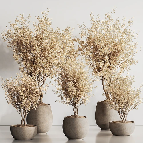 室内干花植物盆栽组合