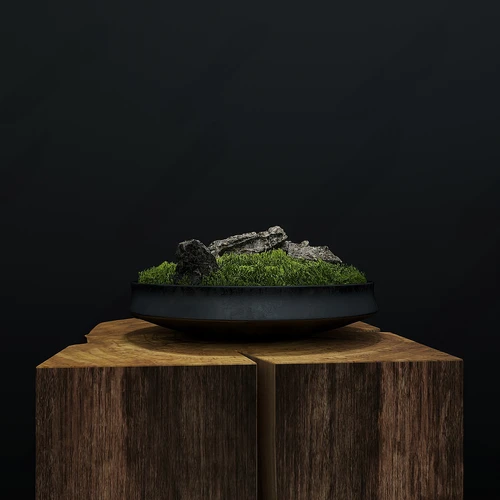 现代苔藓盆景