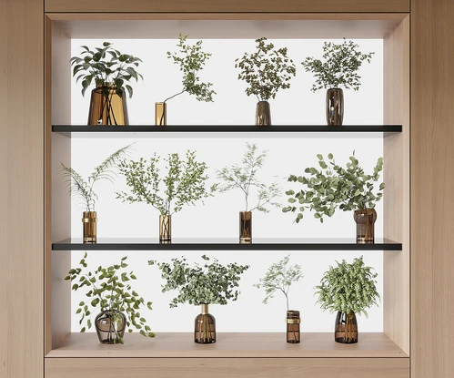 现代水培植物