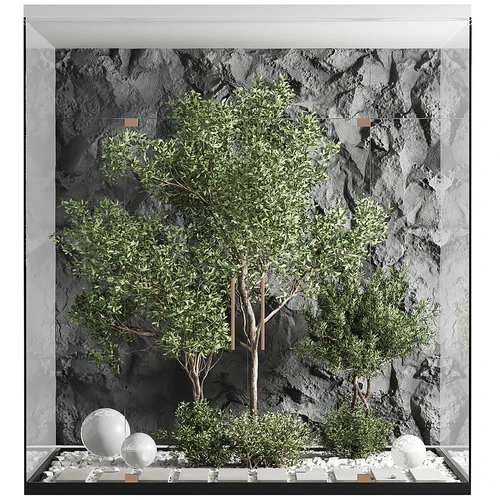 室内植物造景