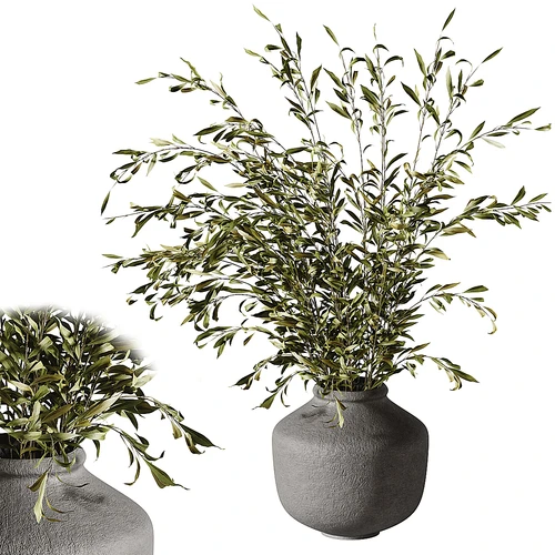 侘寂绿植盆栽