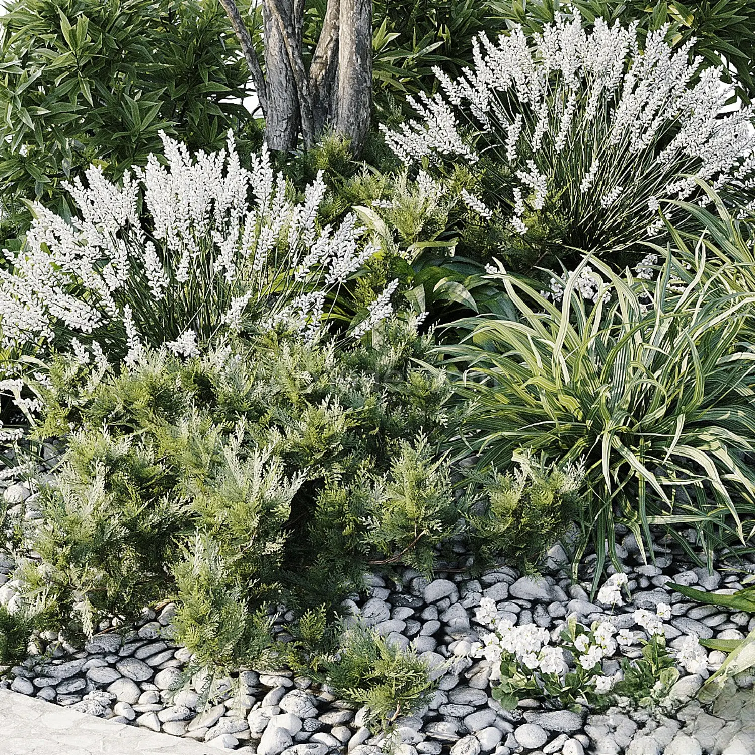 img3