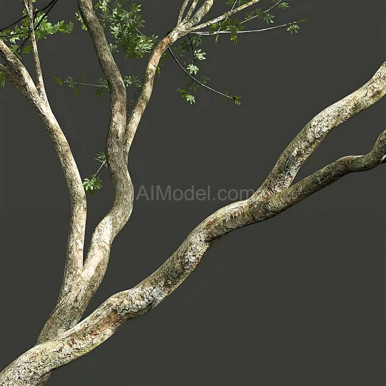 img2