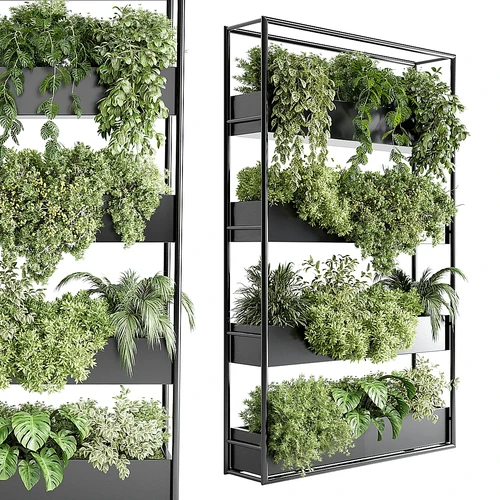 植物盆栽