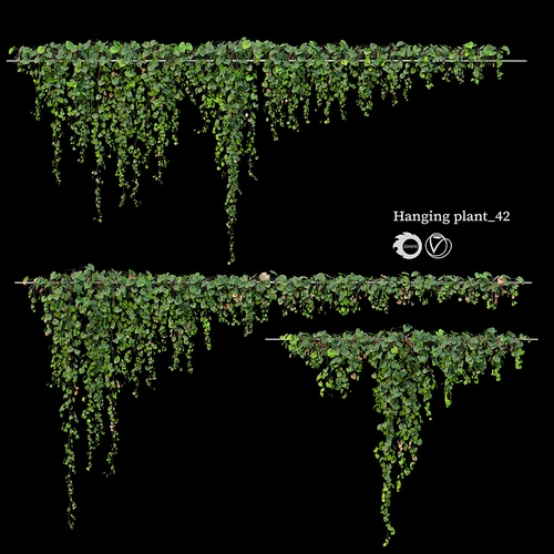 现代植物藤蔓