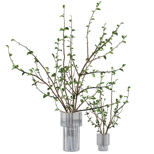 现代水生植物花瓶花艺