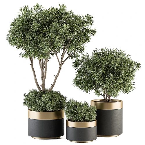 室内成套植物