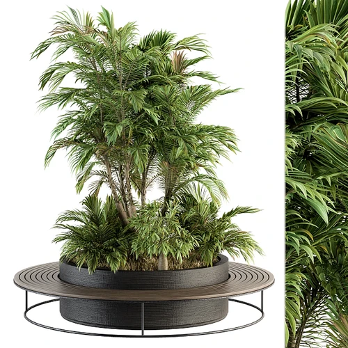 带植物的建筑长凳
