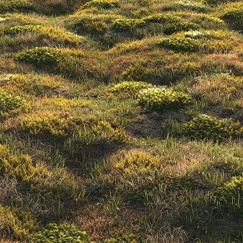 林草