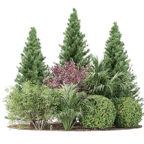 户外植物