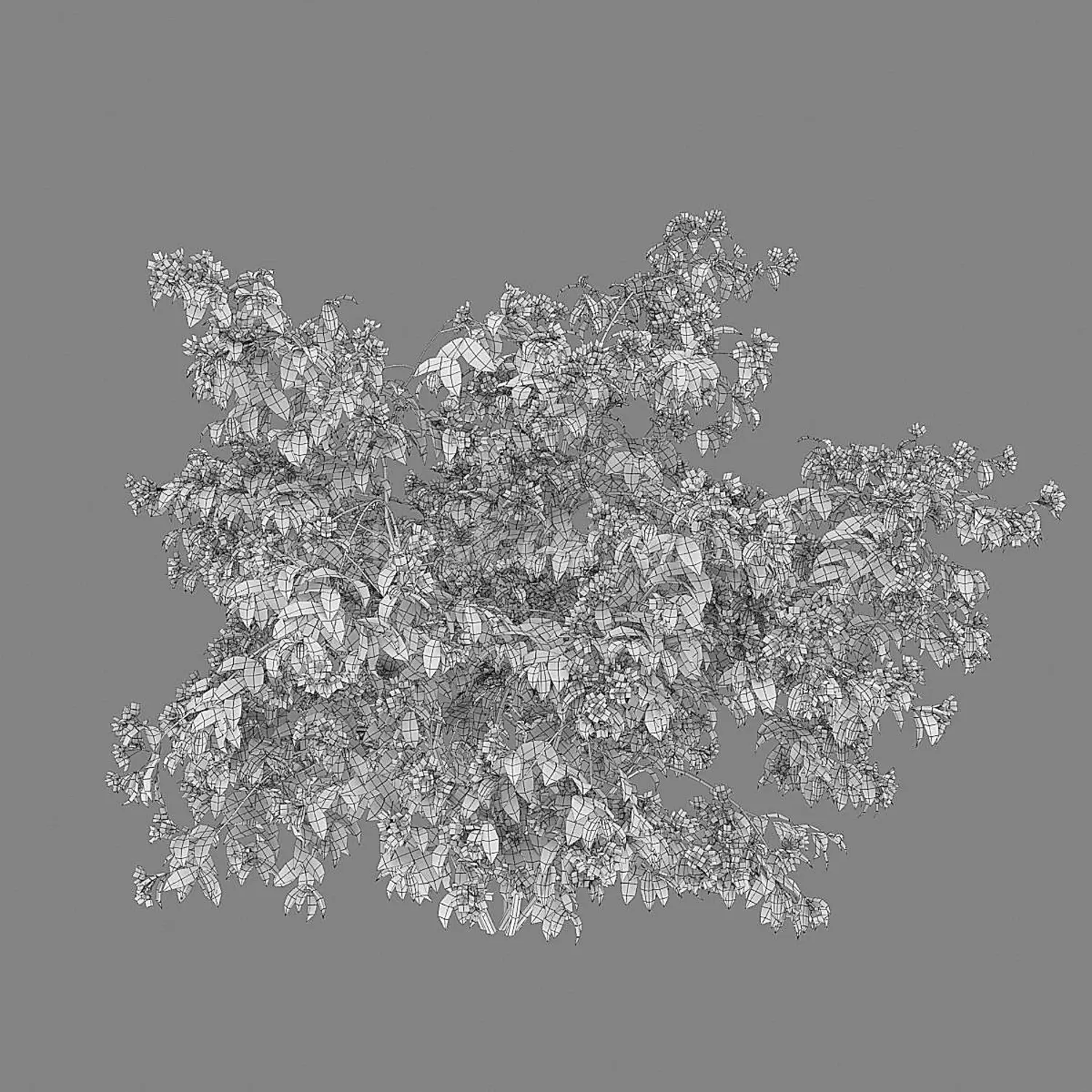 img7