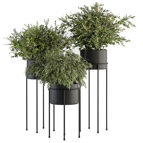 室内成套植物