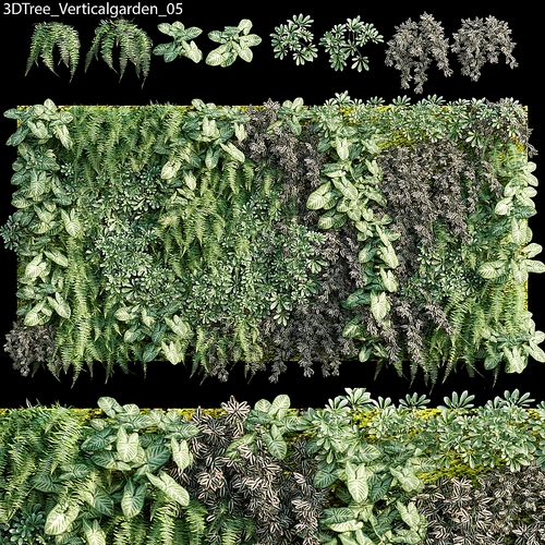 绿植墙