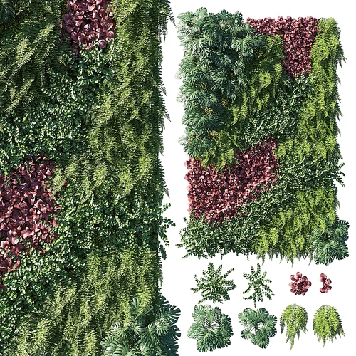 绿植墙