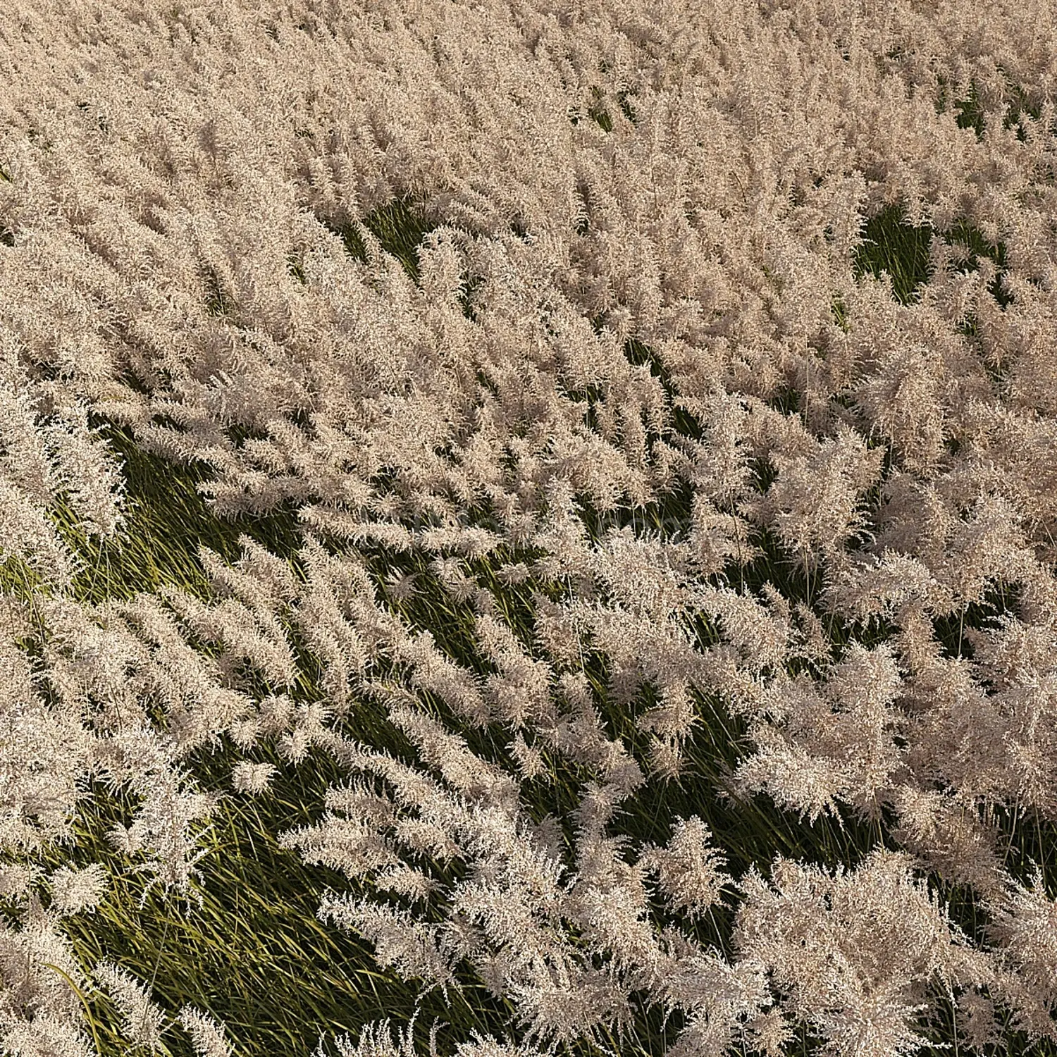 img2