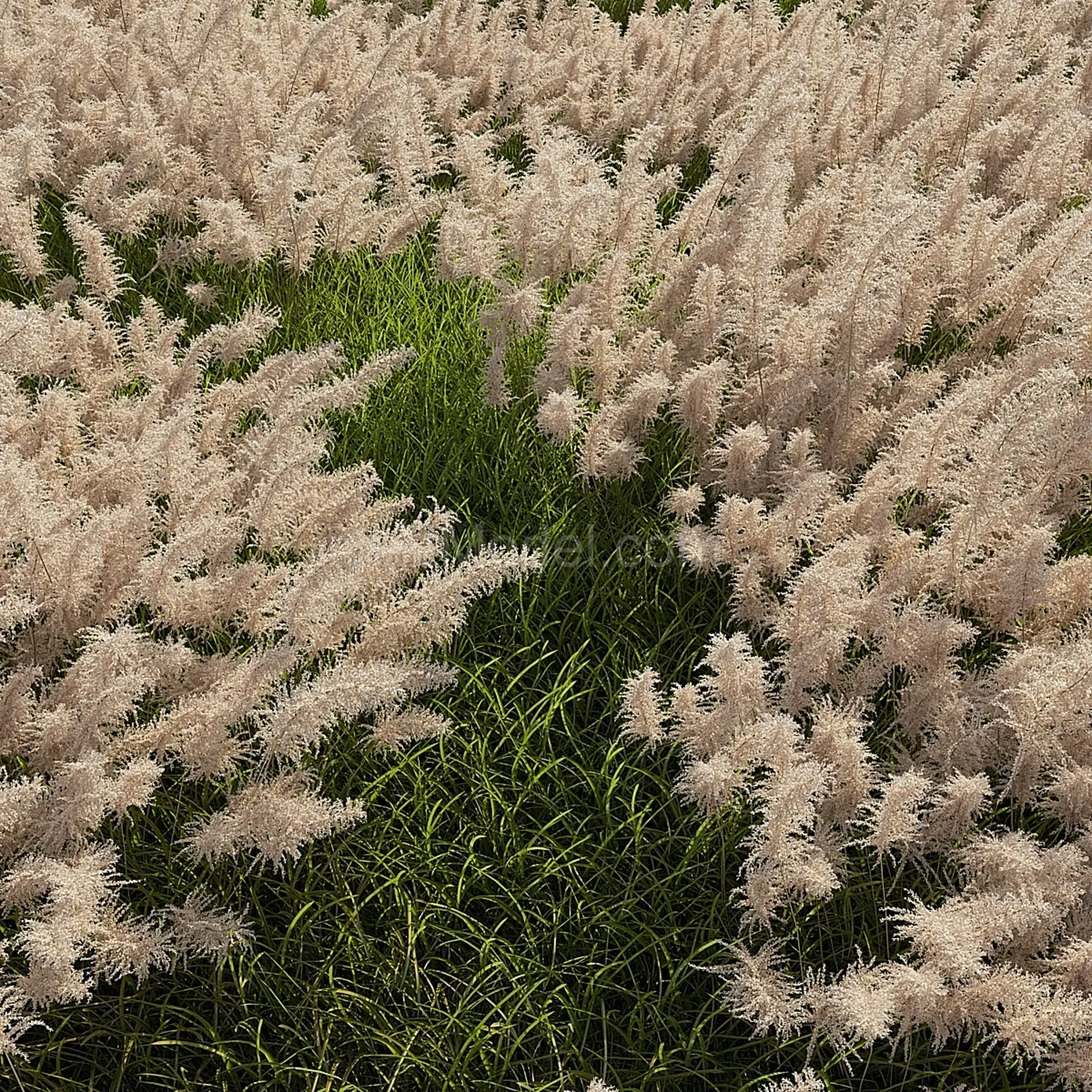 img3