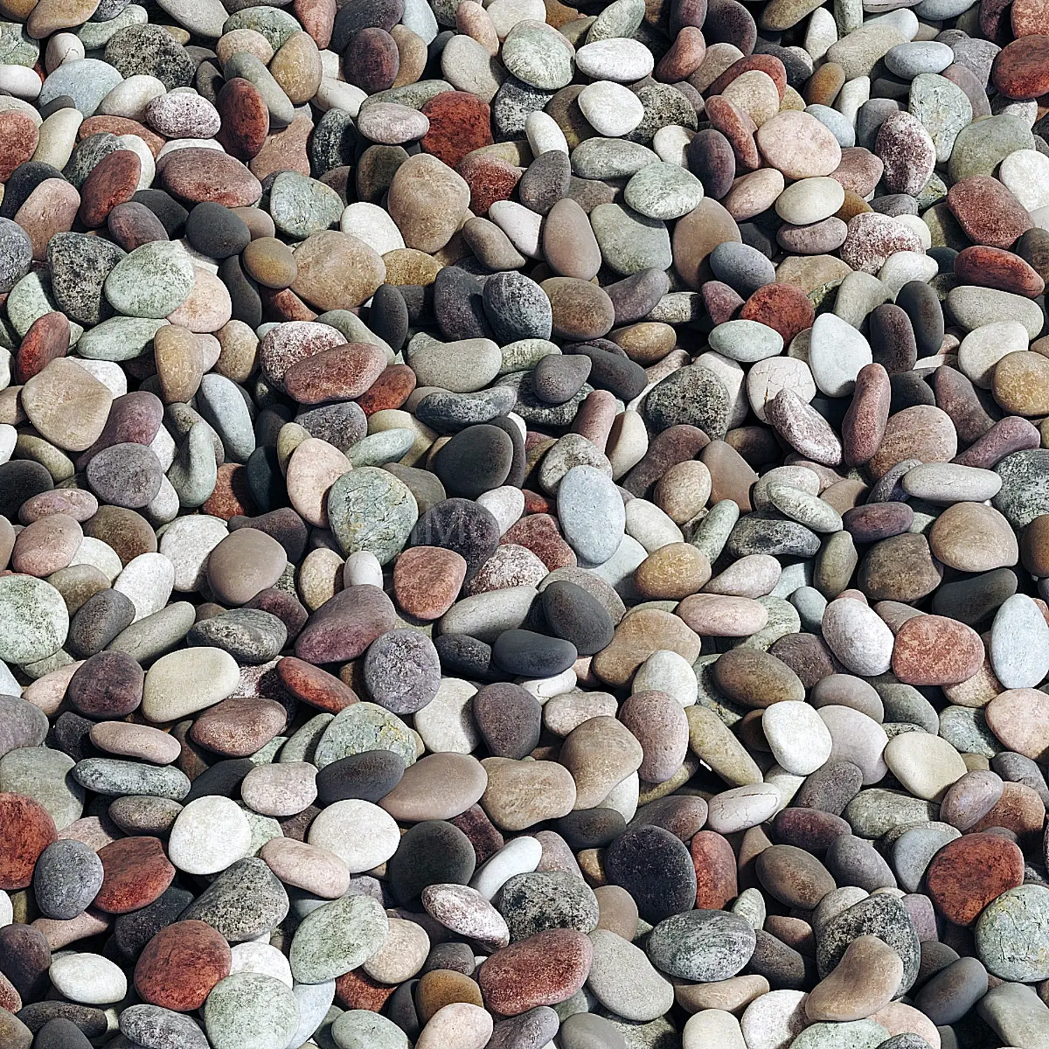 img2